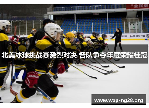 北美冰球挑战赛激烈对决 各队争夺年度荣耀桂冠 北美冰球挑战赛激烈对决 各队争夺年度荣耀桂冠
