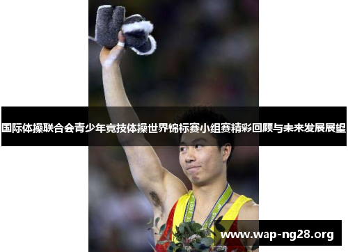 国际体操联合会青少年竞技体操世界锦标赛小组赛精彩回顾与未来发展展望 国际体操联合会青少年竞技体操世界锦标赛小组赛精彩回顾与未来发展展望