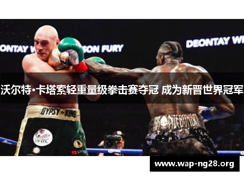 沃尔特·卡塔索轻重量级拳击赛夺冠 成为新晋世界冠军 沃尔特·卡塔索轻重量级拳击赛夺冠 成为新晋世界冠军