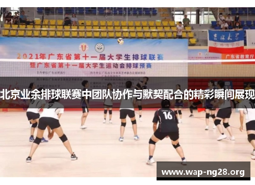 北京业余排球联赛中团队协作与默契配合的精彩瞬间展现