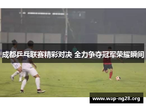 成都乒乓联赛精彩对决 全力争夺冠军荣耀瞬间 成都乒乓联赛精彩对决 全力争夺冠军荣耀瞬间