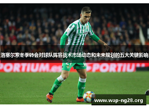 洛塞尔索冬季转会对球队阵容战术市场动态和未来规划的五大关键影响 洛塞尔索冬季转会对球队阵容战术市场动态和未来规划的五大关键影响