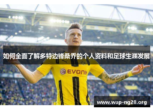 如何全面了解多特边锋桑乔的个人资料和足球生涯发展 如何全面了解多特边锋桑乔的个人资料和足球生涯发展