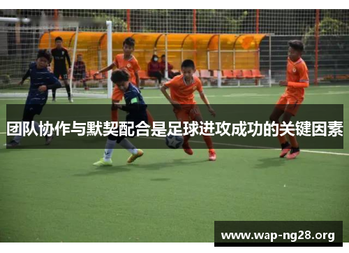 团队协作与默契配合是足球进攻成功的关键因素 团队协作与默契配合是足球进攻成功的关键因素