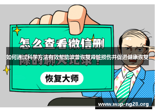 如何通过科学方法有效帮助波普恢复肾脏损伤并促进健康恢复 如何通过科学方法有效帮助波普恢复肾脏损伤并促进健康恢复