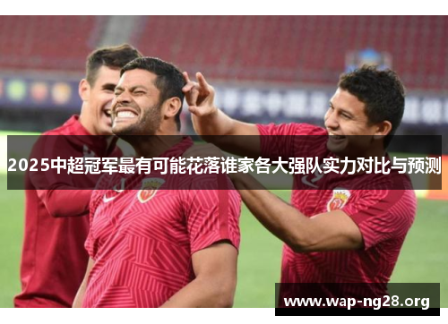 2025中超冠军最有可能花落谁家各大强队实力对比与预测 2025中超冠军最有可能花落谁家各大强队实力对比与预测