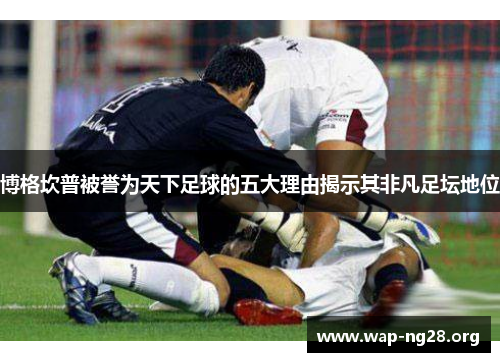 博格坎普被誉为天下足球的五大理由揭示其非凡足坛地位 博格坎普被誉为天下足球的五大理由揭示其非凡足坛地位