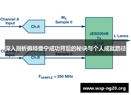 深入剖析佩特曼宁成功背后的秘诀与个人成就路径 深入剖析佩特曼宁成功背后的秘诀与个人成就路径