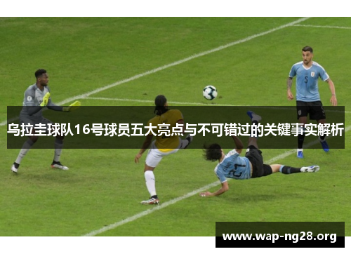 乌拉圭球队16号球员五大亮点与不可错过的关键事实解析 乌拉圭球队16号球员五大亮点与不可错过的关键事实解析