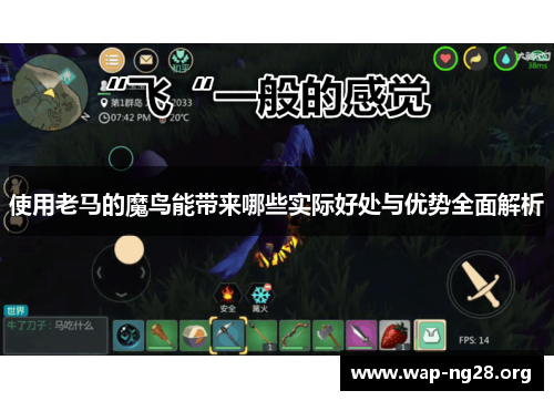 使用老马的魔鸟能带来哪些实际好处与优势全面解析 使用老马的魔鸟能带来哪些实际好处与优势全面解析