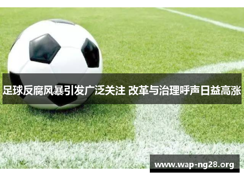 足球反腐风暴引发广泛关注 改革与治理呼声日益高涨 足球反腐风暴引发广泛关注 改革与治理呼声日益高涨